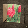 Blank Pink Protea Watercolor Greeting Card | Premium Australian Native Floral Note Card - Willow and Wag