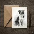 The Countryside Companions Heritage Card Set (Pack of 5) - Willow and Wag