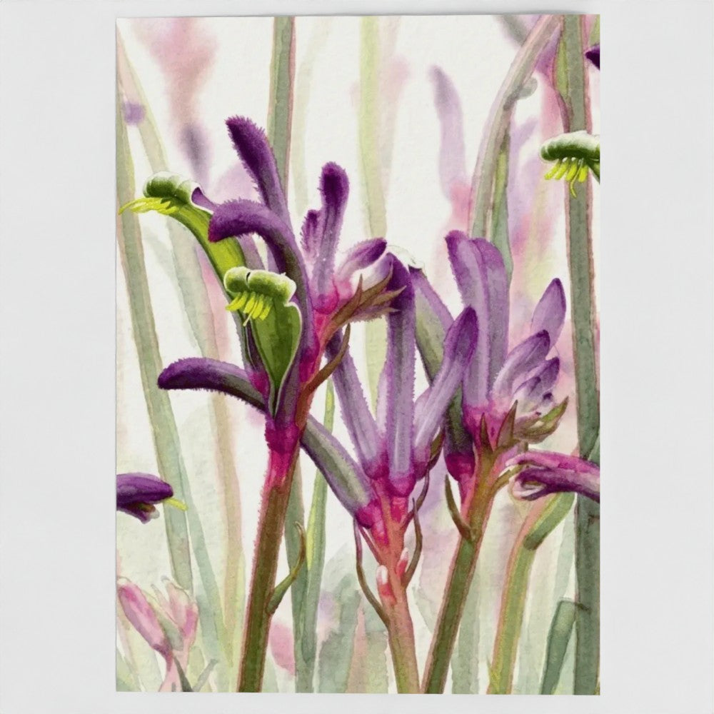 Kangaroo Paw Native Botanical Greeting Card – Luxury Blank Stationery