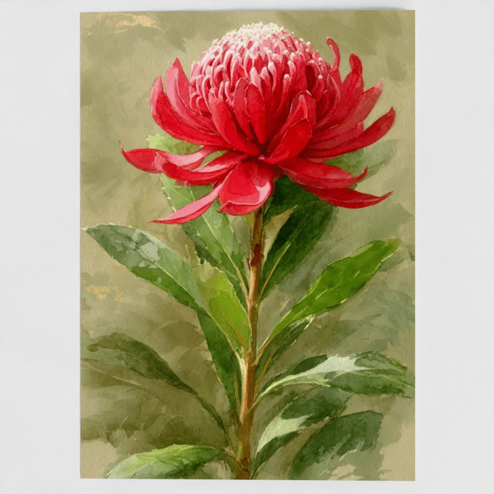 Waratah Native Botanical Greeting Card – Luxury Blank Stationery